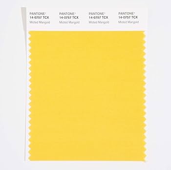 その他 PANTONE for fashion and  COLOR CARD Amazon.com: Pantone Cotton Swatch Card Color Standard, Color
